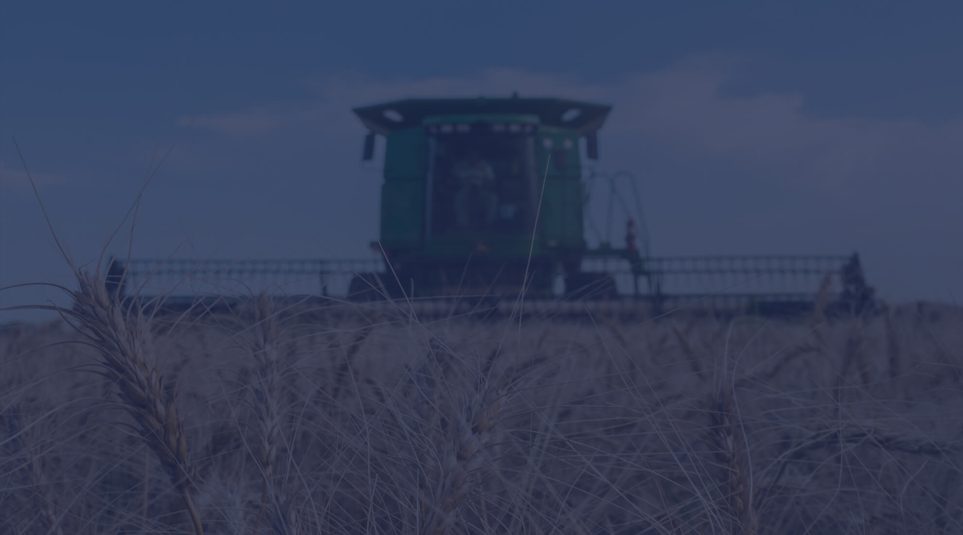 John Deere Combine Harvesting Wheat